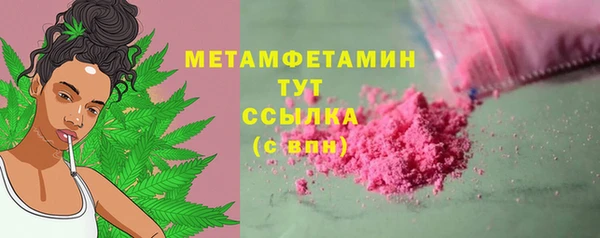 прущие грибы Вязники