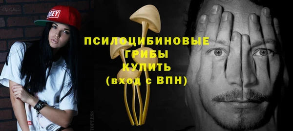 марки nbome Вяземский