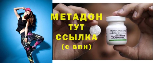 прущие грибы Вязники