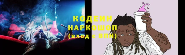 прущие грибы Вязники