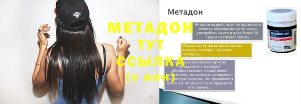 прущие грибы Вязники