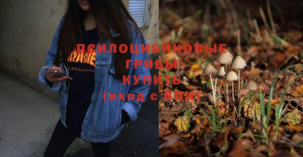 прущие грибы Вязники