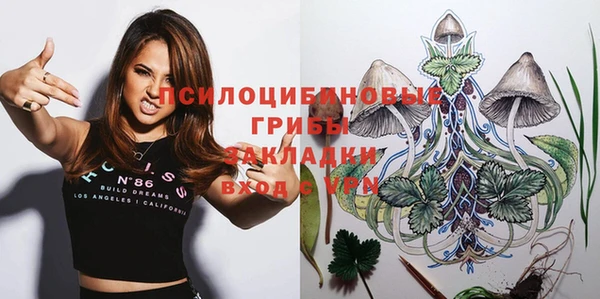 прущие грибы Вязники