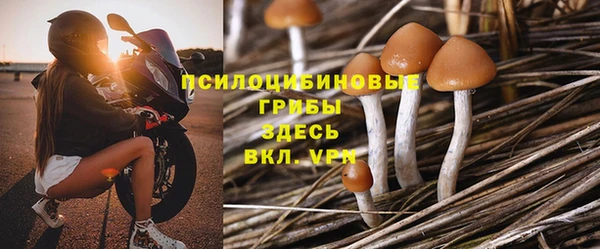 марки nbome Вяземский