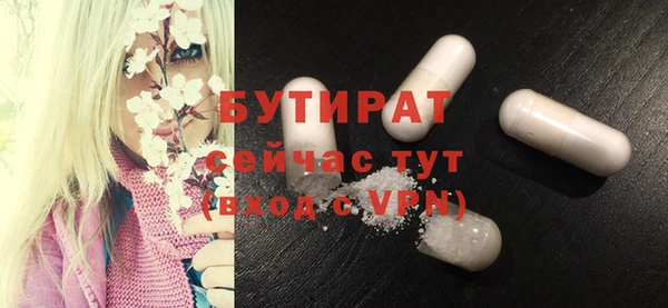 прущие грибы Вязники