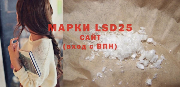прущие грибы Вязники